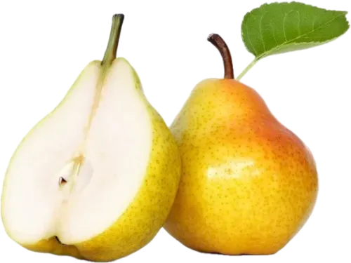 Груша