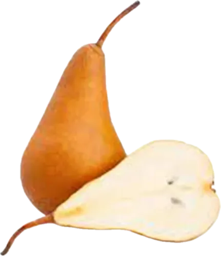 Груша Наши