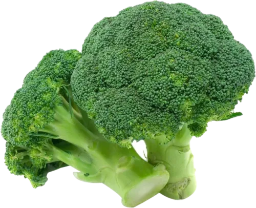 Broccoli