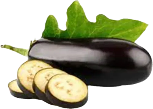 Iranian Eggplant
