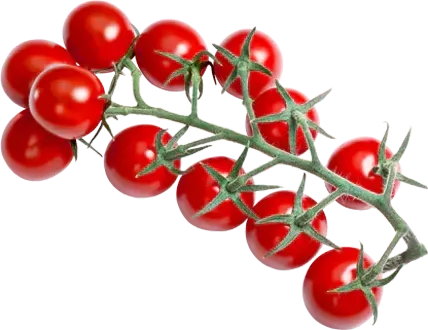 Cherry Tomato Zire