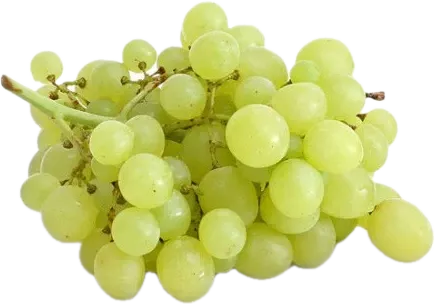 White Grapes