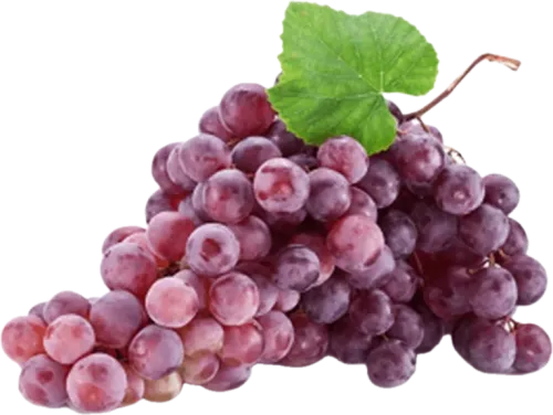 Cardinal Imported Grapes