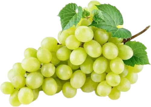 White Raisins