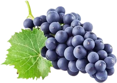 Black Raisins