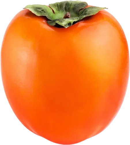 Rojo Brilliant Persimmon