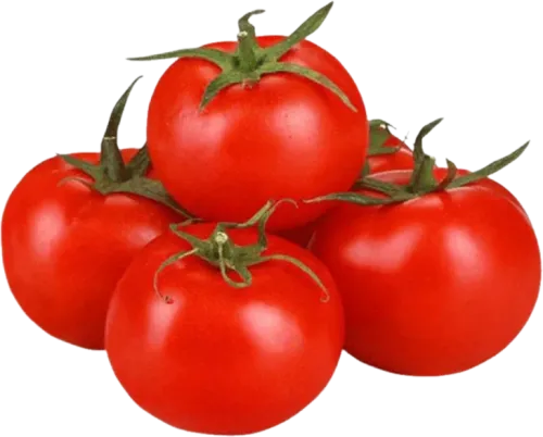 Tomato