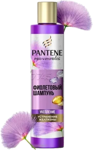 Violet Shampoo