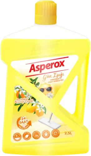 Floor Cleaner Sun
