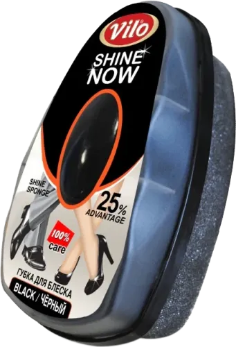 Shoe Sponge Black