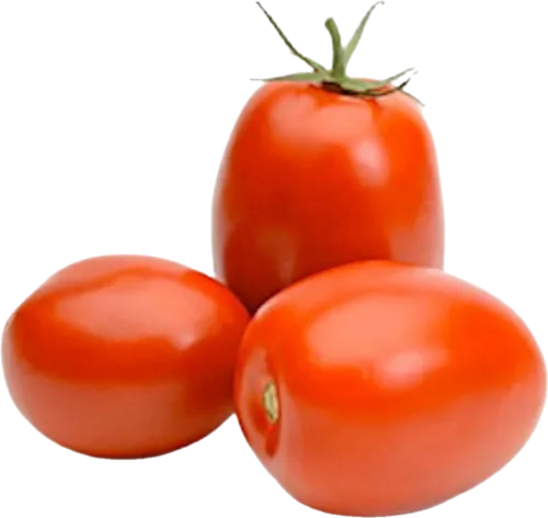 Pomidor slivka