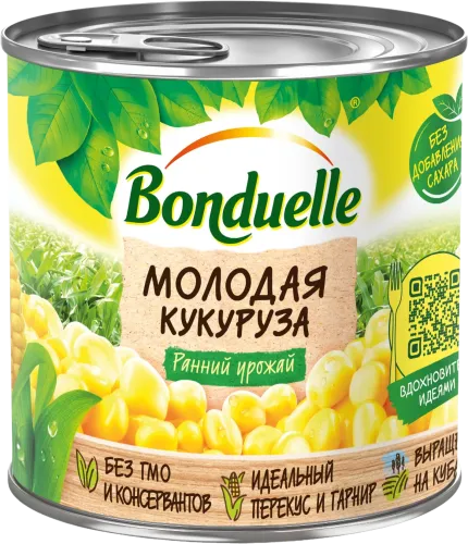 Молодая кукуруза 