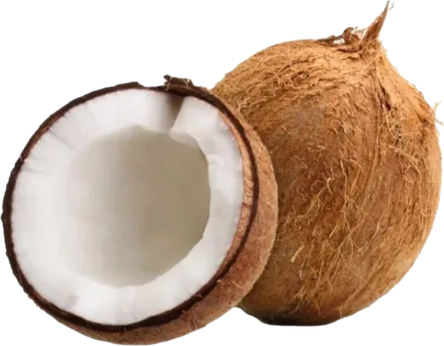 Kokos Exotic