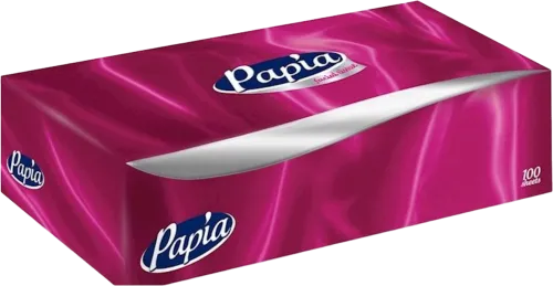 Salfet dispenser İki qatlı