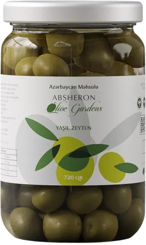Yaşıl zeytun 