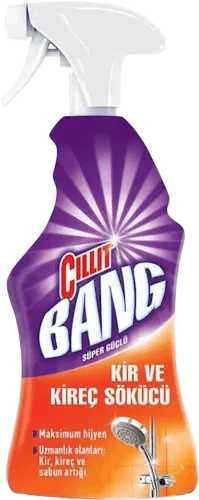  Stain Remover Spray