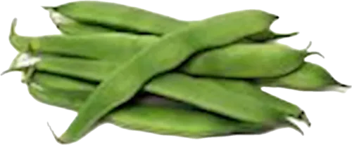 Local green bean