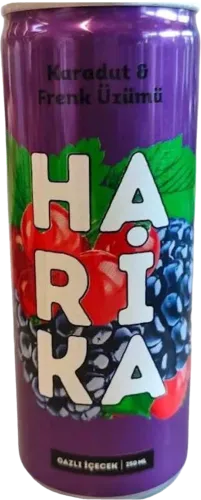 Carbonated drink with grape and blackberry flavor