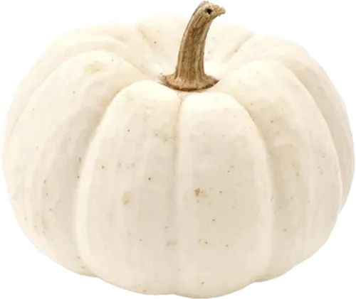 White Borani