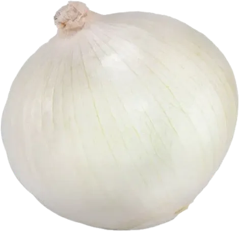 Белый лук