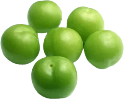 Слива
