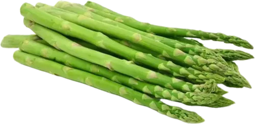 Asparagus