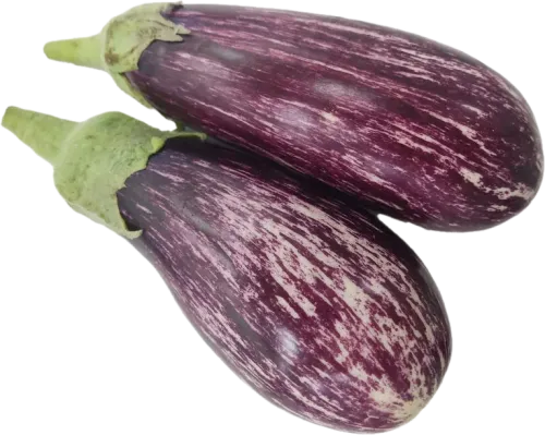 Striped Eggplant