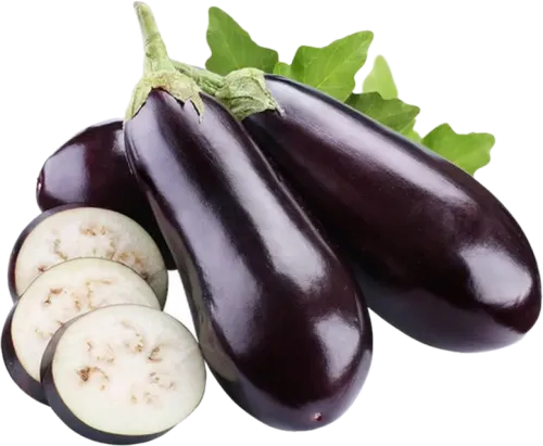 Eggplant