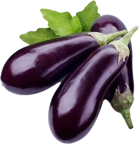 Local Eggplant