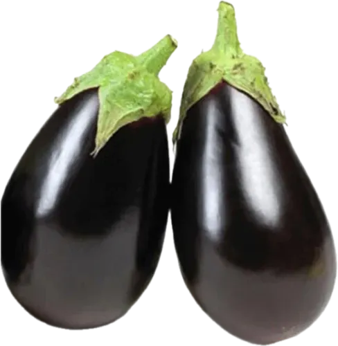 Round Eggplant