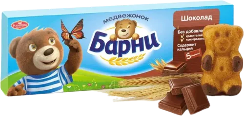 Chocolate Biscuit