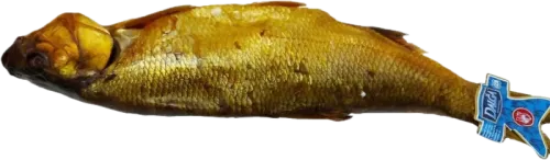 Somon Fileto