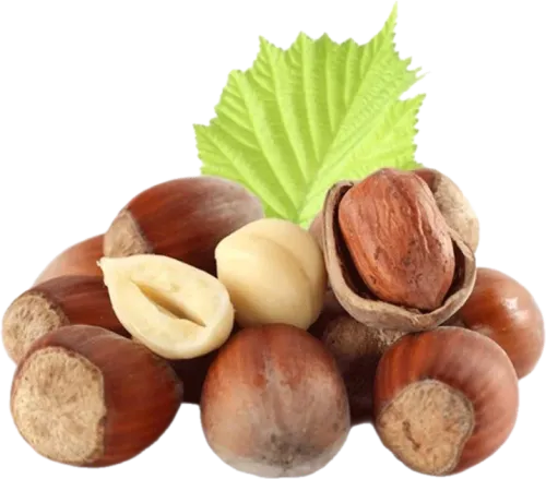 Hazelnuts