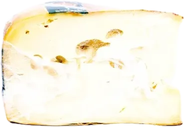 Maasdam Cheese