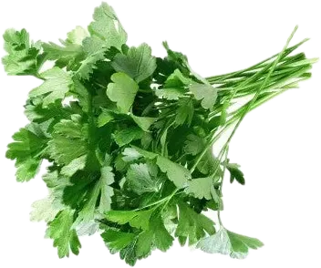 Gozel Təbiət göyərti