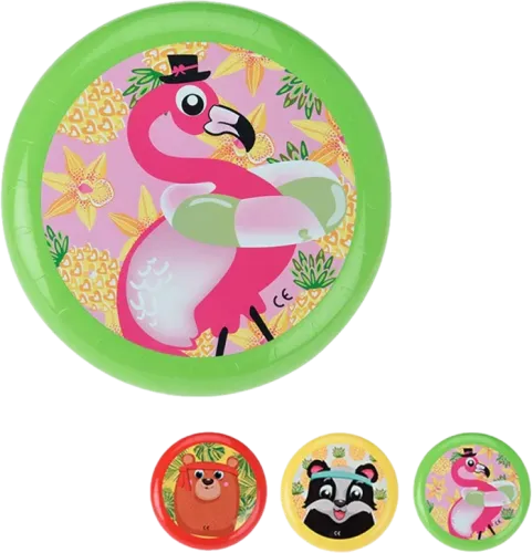Frizbi Disk