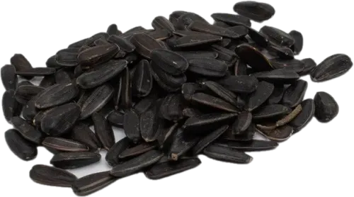 Sunflower Seeds