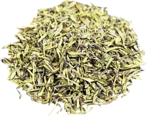 Oregano