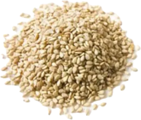 Sesame Seeds