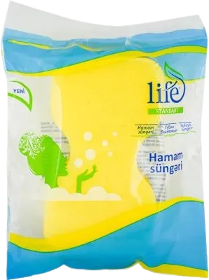 Bath Sponge