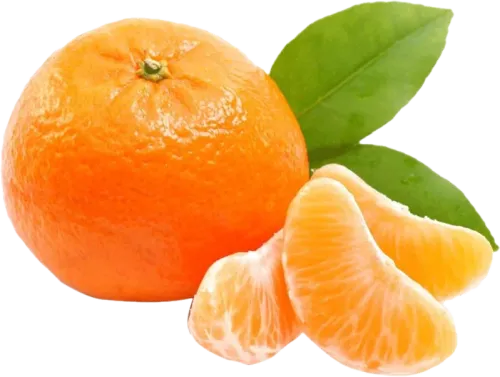 Mandora Mandarini