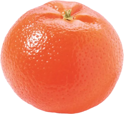 Satsuma Mandarini