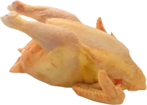 Village Chicken