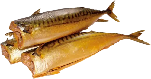 Mackerel Fillet