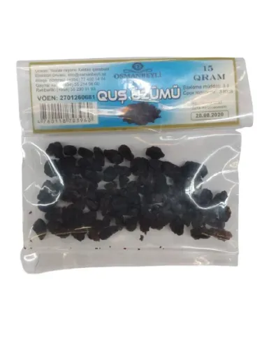 Quş Üzümü