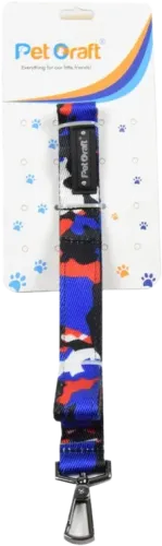 Walking Leash