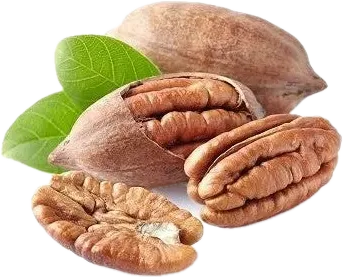 Walnut Shells