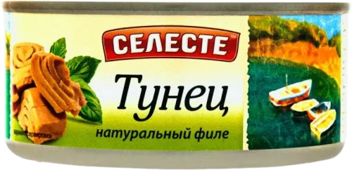 Tuna Fillet Natural