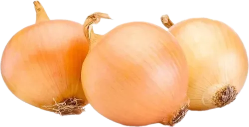 Soğan