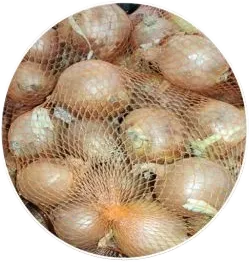 Yerli Soğan